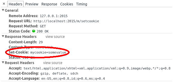 Заголовок ответа Set-Cookie в инструментах разработчика Chrome